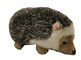 Lekki 0,15 m 0,49 stopy Big Hedgehog Przyjazne dla środowiska pluszaki