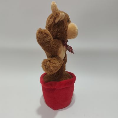 Śpiewająca i tańcząca krowa górska