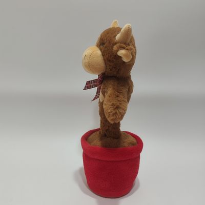 Śpiewająca i tańcząca krowa górska